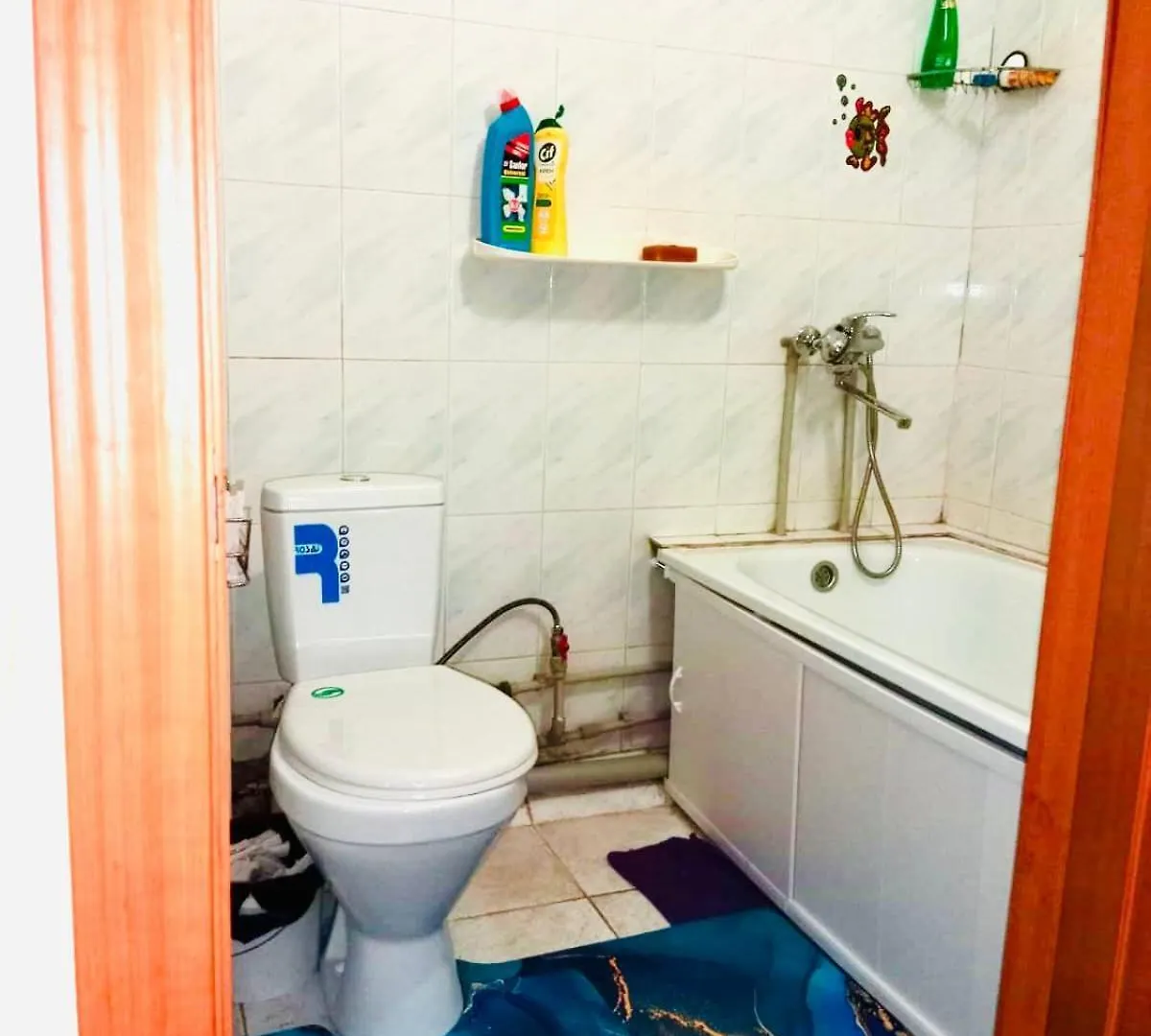 Flat Apartment Almaty Kazakhstan